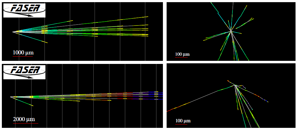 Display of two neutrino interaction candidates